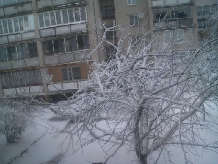 Клевань з panoramio.com - Клевань