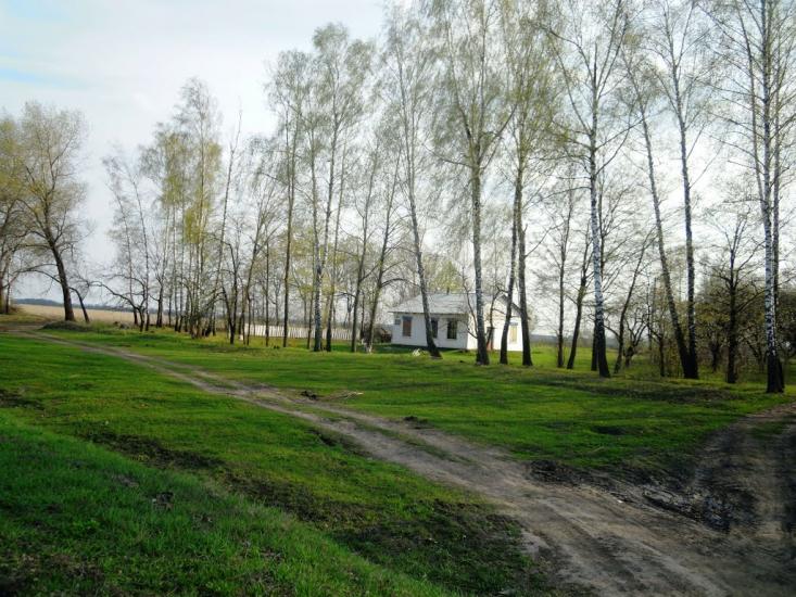 Сальниця з panoramio.com - Сальница