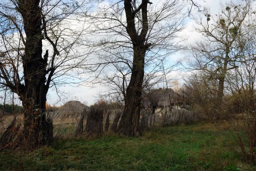 Маньківка з panoramio.com - Маньківка