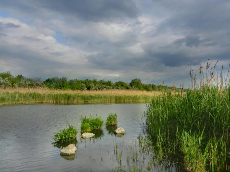 Широчани з panoramio.com - Широчани