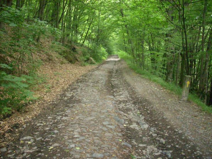 Кам'яниця з panoramio.com - Каменица