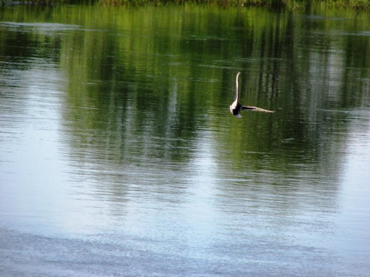 Неданчичі з panoramio.com - Неданчичі