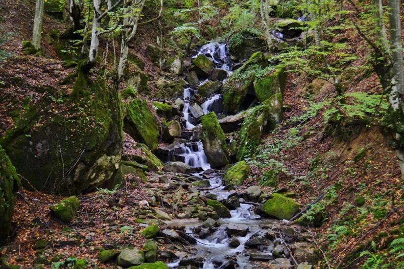 Росішка з panoramio.com - Rosishka
