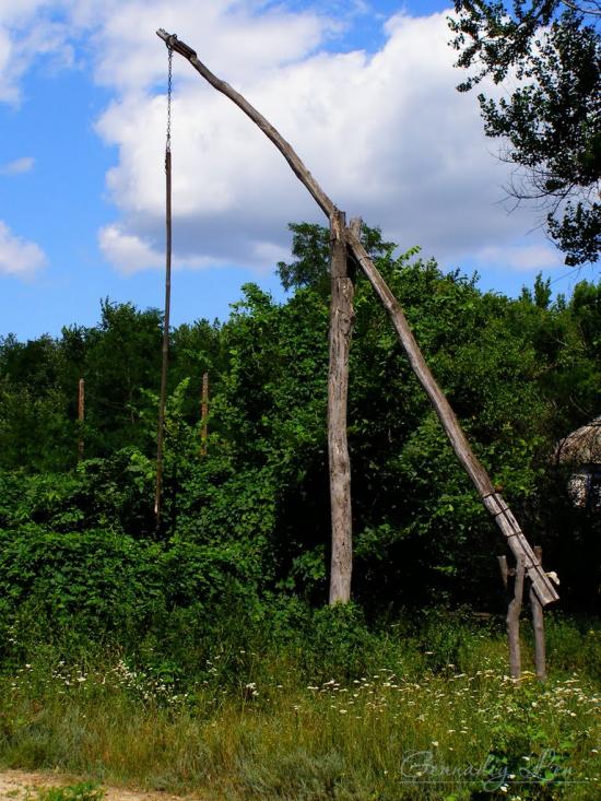 Новоселівка з panoramio.com - Новоселівка