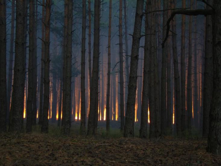 Косачівка з panoramio.com - Косачівка