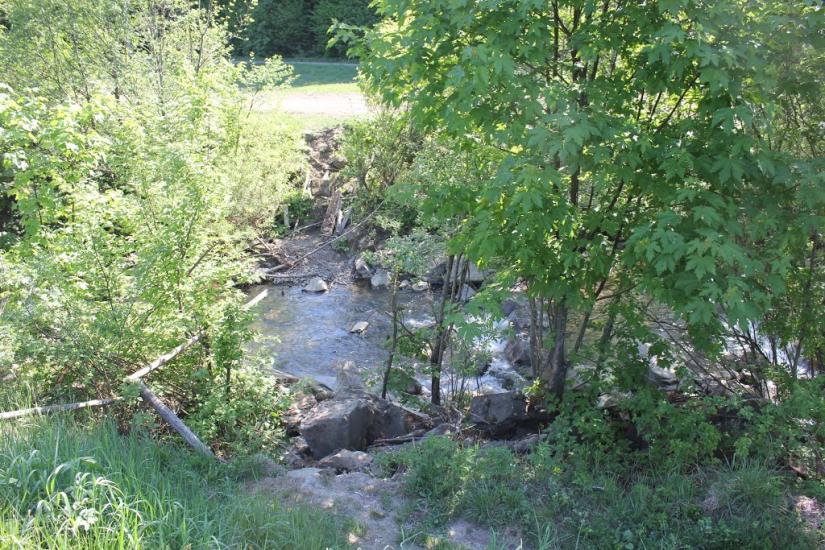 Княгиня з panoramio.com - Княгиня