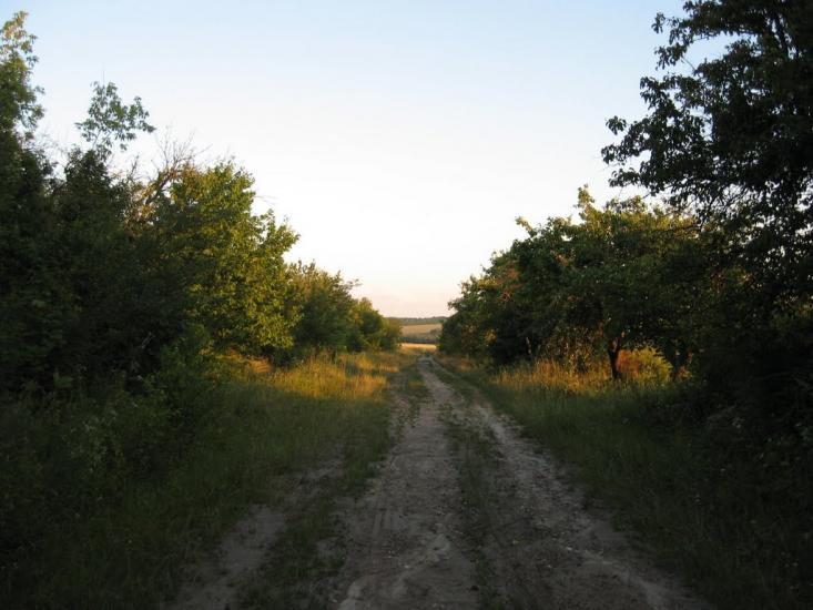 Немерче з panoramio.com - Немерче