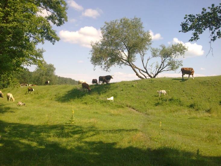 Турбів з panoramio.com - Турбов