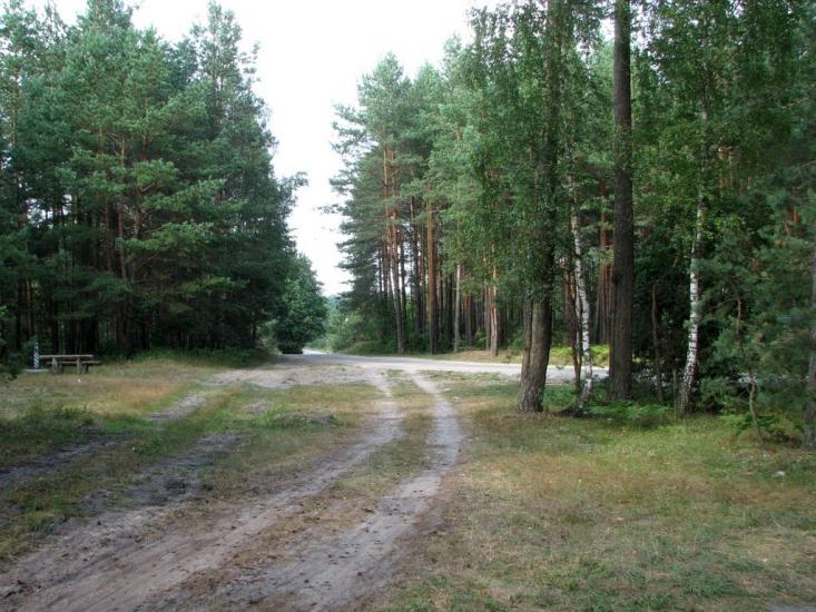 Стригани з panoramio.com - Стриганы