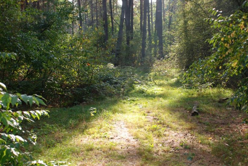 Геронимівка з panoramio.com - Геронимовка