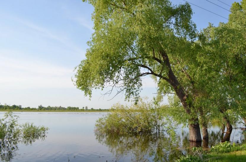 Пухівка з panoramio.com - Pukhivka