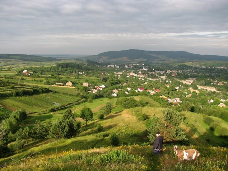 Добромиль з panoramio.com - Dobromyl