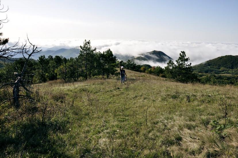 Земляничне з panoramio.com - Земляничное