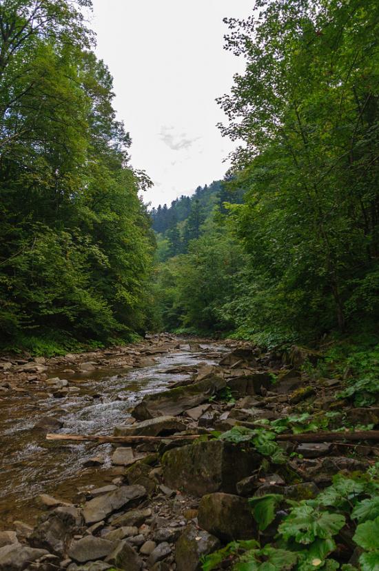 Буківцьово з panoramio.com - Буковцево