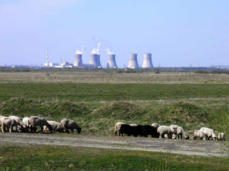 Козлиничі з panoramio.com - Козлиничи