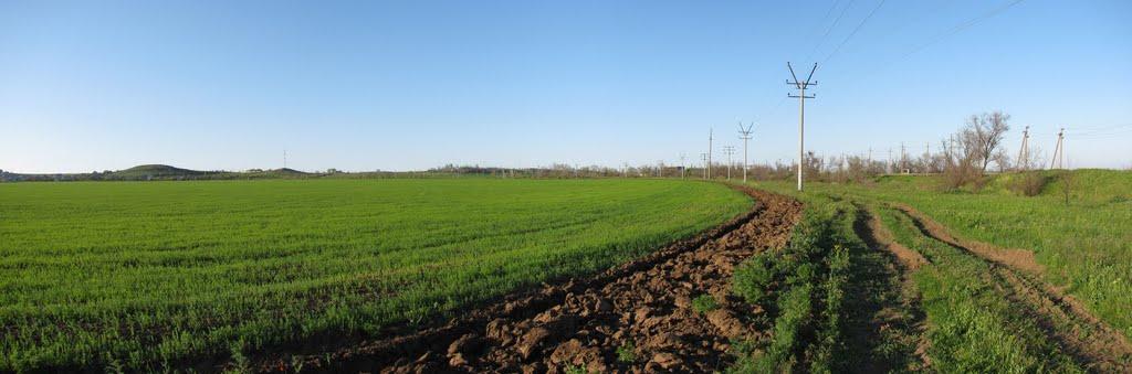 Семенівка з panoramio.com - Семенівка
