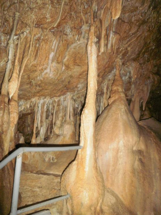 Піонерське з panoramio.com - Піонерське