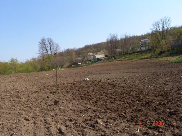 Борщівці з panoramio.com - Борщівці