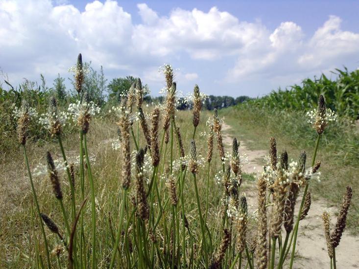Гора з panoramio.com - Гора