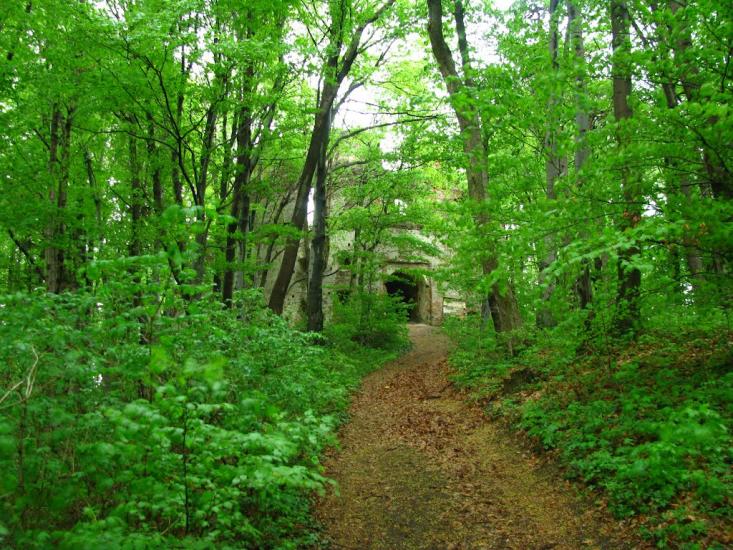 Добромиль з panoramio.com - Dobromyl
