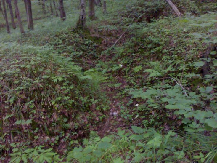 Михальче з panoramio.com - Михальче