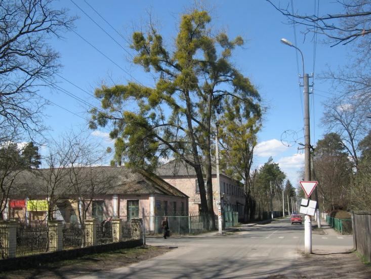 Клавдієво-Тарасове з panoramio.com - Клавдієво-Тарасове