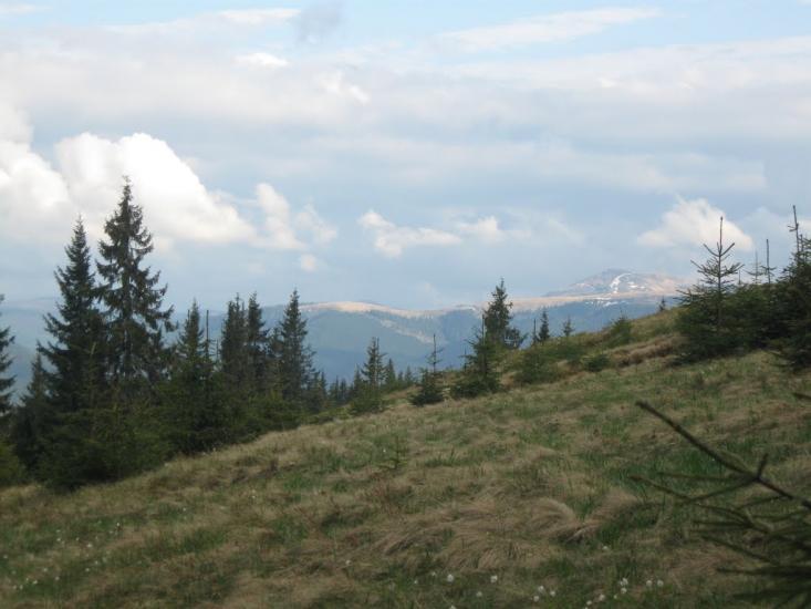 Буркут з panoramio.com - Буркут