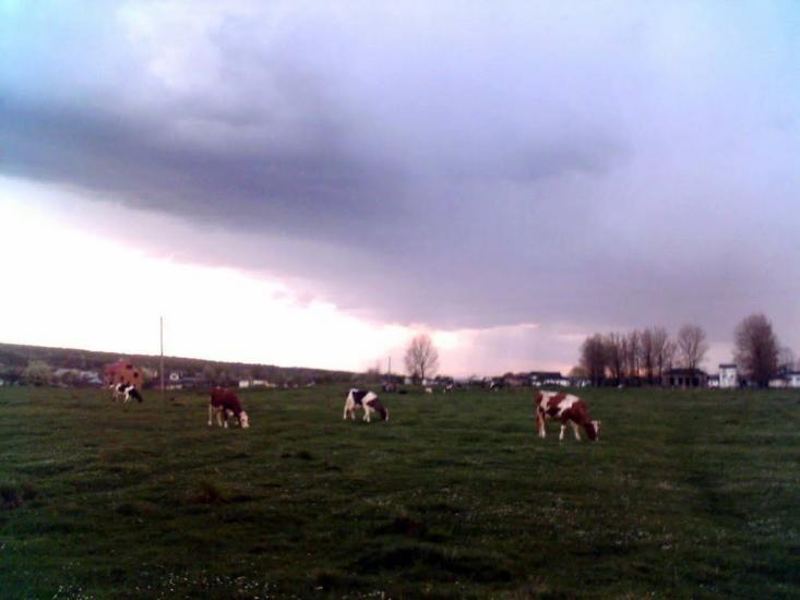 Майдан з panoramio.com - Майдан