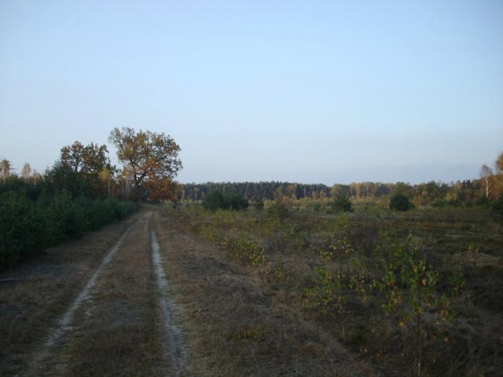 Хрипськ з panoramio.com - Хрипск