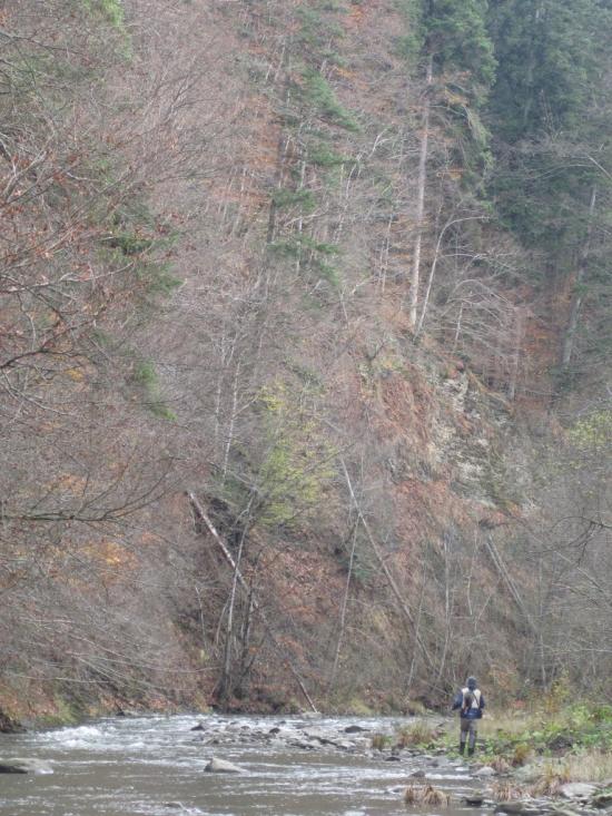 Чорноголова з panoramio.com - Черноголова
