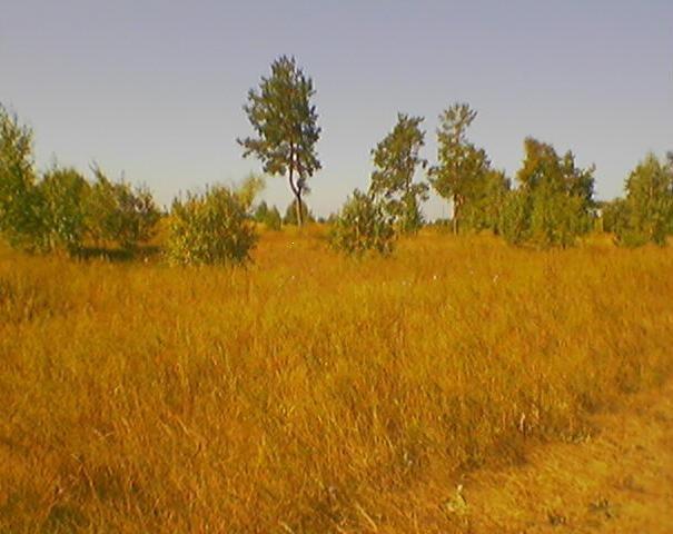 Велика Кошелівка з panoramio.com - Велика Кошелівка