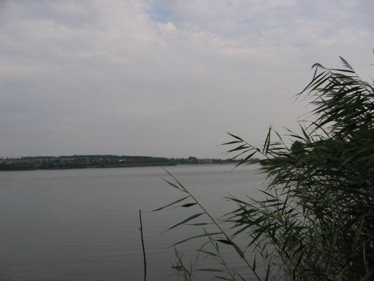 Липці з panoramio.com - Lyptsi