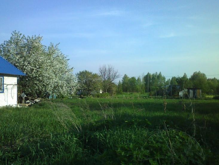 Мочалище з panoramio.com - Мочалище