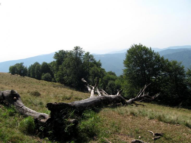 Вучкове з panoramio.com - Вучково