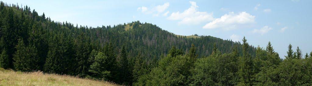 Коростів з panoramio.com - Коростов
