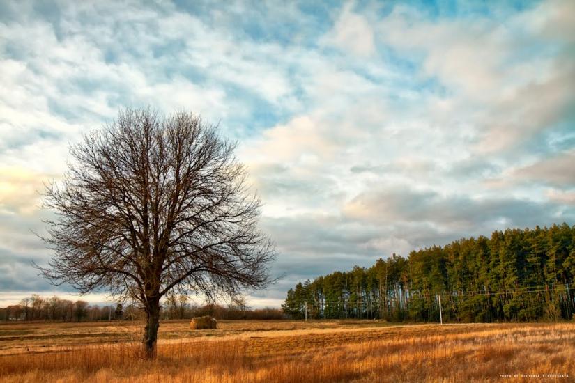 Великий Карашин з panoramio.com - Великий Карашин