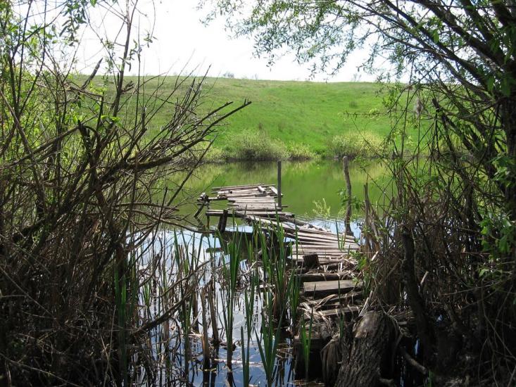 Нова Семенівка з panoramio.com - Nova Semenivka