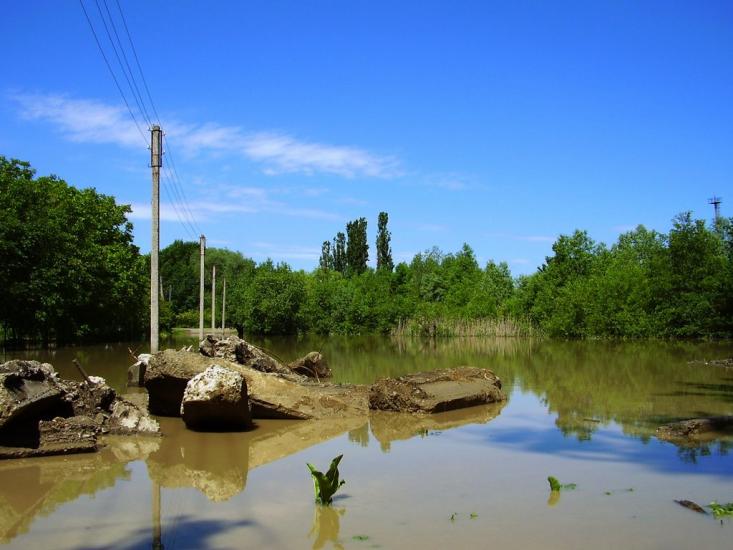 Тарасівці з panoramio.com - Тарасівці