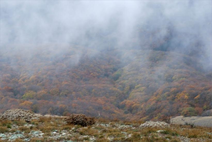 Міжріччя з panoramio.com - Міжріччя