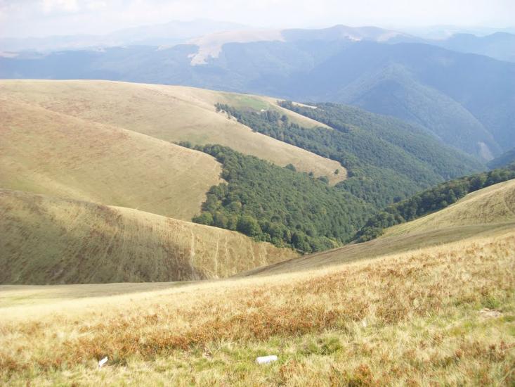 Красна з panoramio.com - Красна