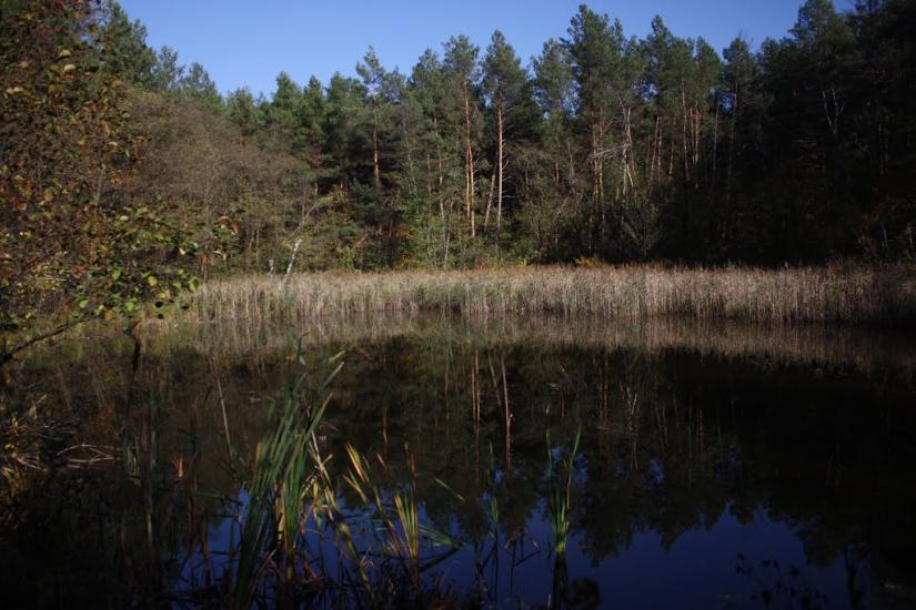 Хоцьки з panoramio.com - Хоцьки