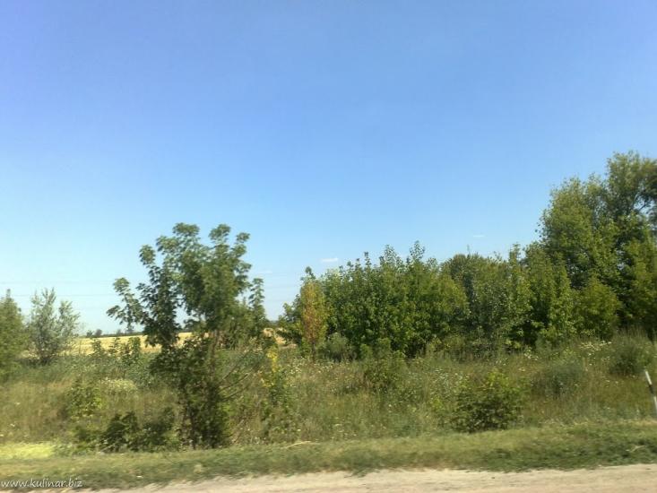 Лісне з panoramio.com - Лісне