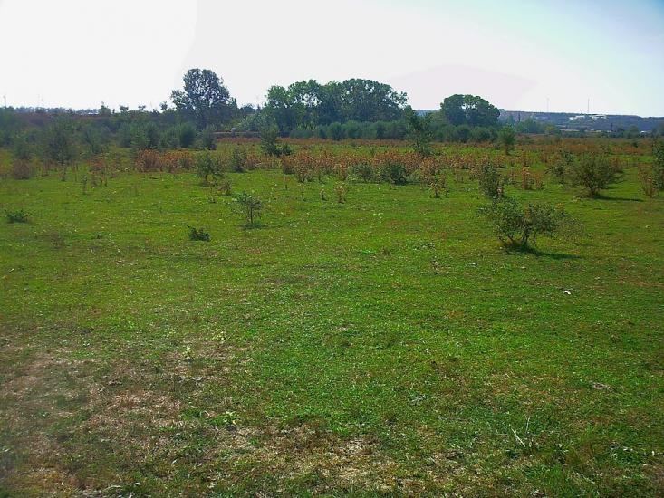 Віліне з panoramio.com - Viline