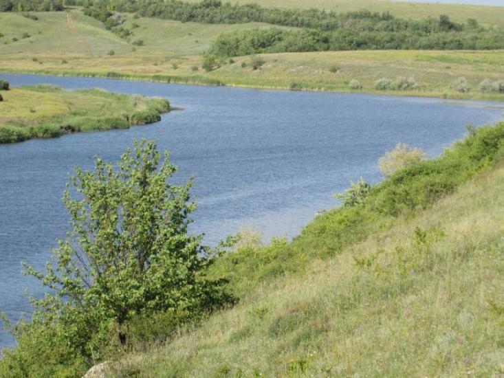 Єлизаветівка з panoramio.com - Елизаветовка