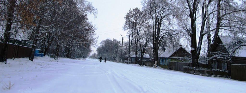 Містки з panoramio.com - Мостки