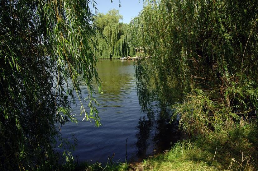 Кримське з panoramio.com - Кримське