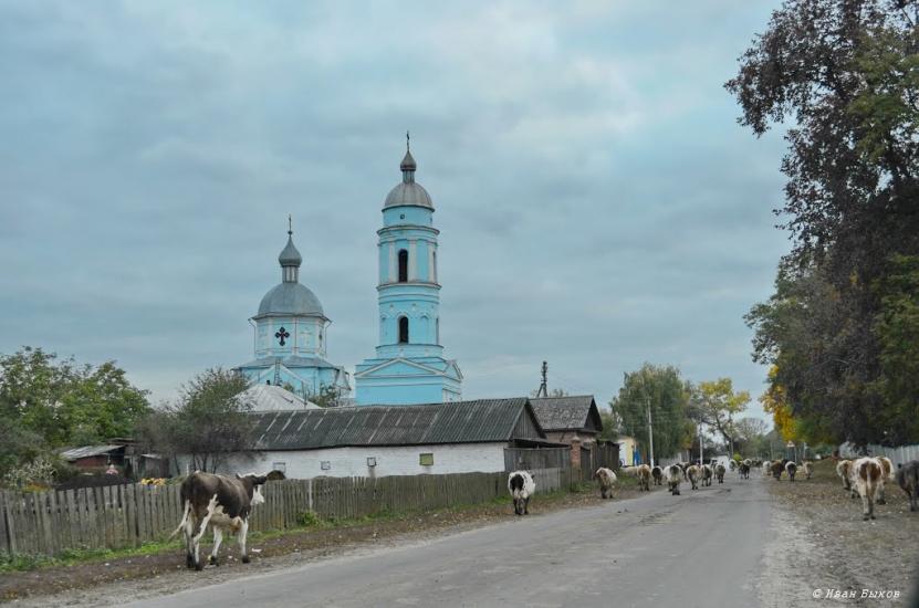Накот з panoramio.com - Накот