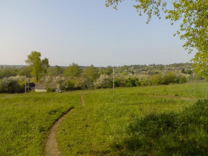 Литвиновичі з panoramio.com - Литвиновичи