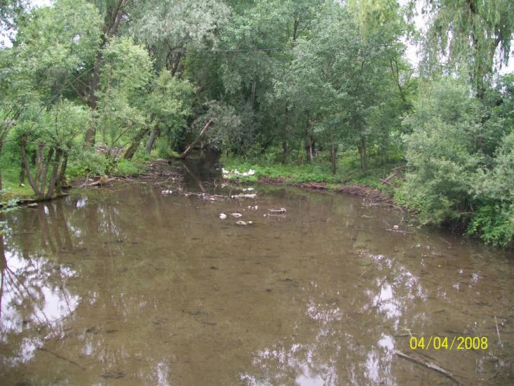 Тарасівці з panoramio.com - Тарасівці