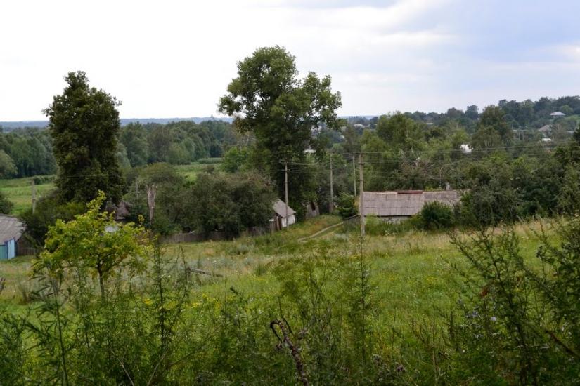 Литвиновичі з panoramio.com - Литвиновичи